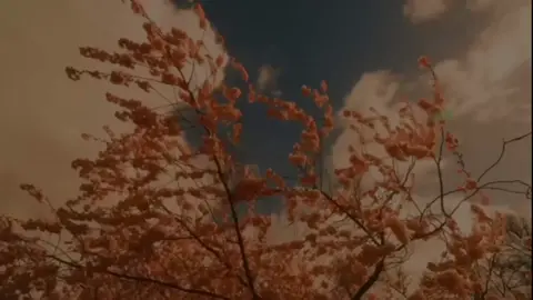 اللهم صلِ على محمد واله محمد . . . . . . . .#يامولاي_يابا_عبدالله_الحسين #خادمه_ابا_عبدالله_الحسين #مصممه_اهل_البيت_عليهم_السلام #شيعة_الامام_علي_عليه_السلام #اللهم_اشهد_اني_والـيت_علي_وال_بيته #اني_شيعيه_وافتخر_باميري_الامام_علي #ياصاحب_الزمان🤎✨✨ #تصاميمي😔🤎 