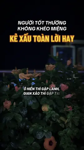 Bạn có thấy đúng vậy không #ngộ_để_an #phatphapnhiemmau #cliptrieuview #xuhuongtiktok #trending 
