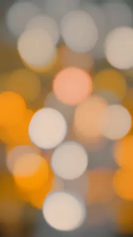 Badsha 👉👑 #foryou #foryoupage #viral #Outdoors 