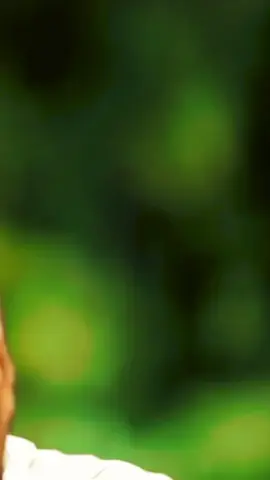 #viral #foryou #fyp #foryoupage #fypシ゚ @Fuadi 