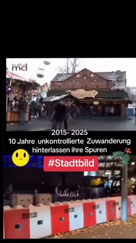 #stadtbild  #alternativefürdeutschland #weihnachtsmarkt  #bündnis90diegrünen #spd 
