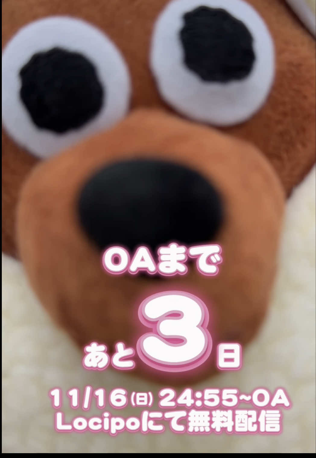 #aoen制作中 OAまで…あと❸日🐈‍⬛🩷 ✦11/16(日)24:55~OA(メ〜テレ) ✦ OA後 Locipoにて無料で配信✦ #aoen #颯太 #SOTA #Locipo 