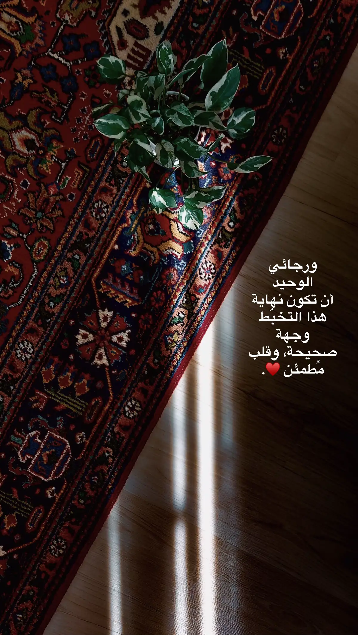 ‏يانور السمّاوات والأرض،  أنت تعلم ما أُعتِم فأنِره بنُورك الذي لا ينطفئ .#خـاتونہۧ #قناتي_تلي_بالبايو #تفاعل #مشاهير_تيك_توك 