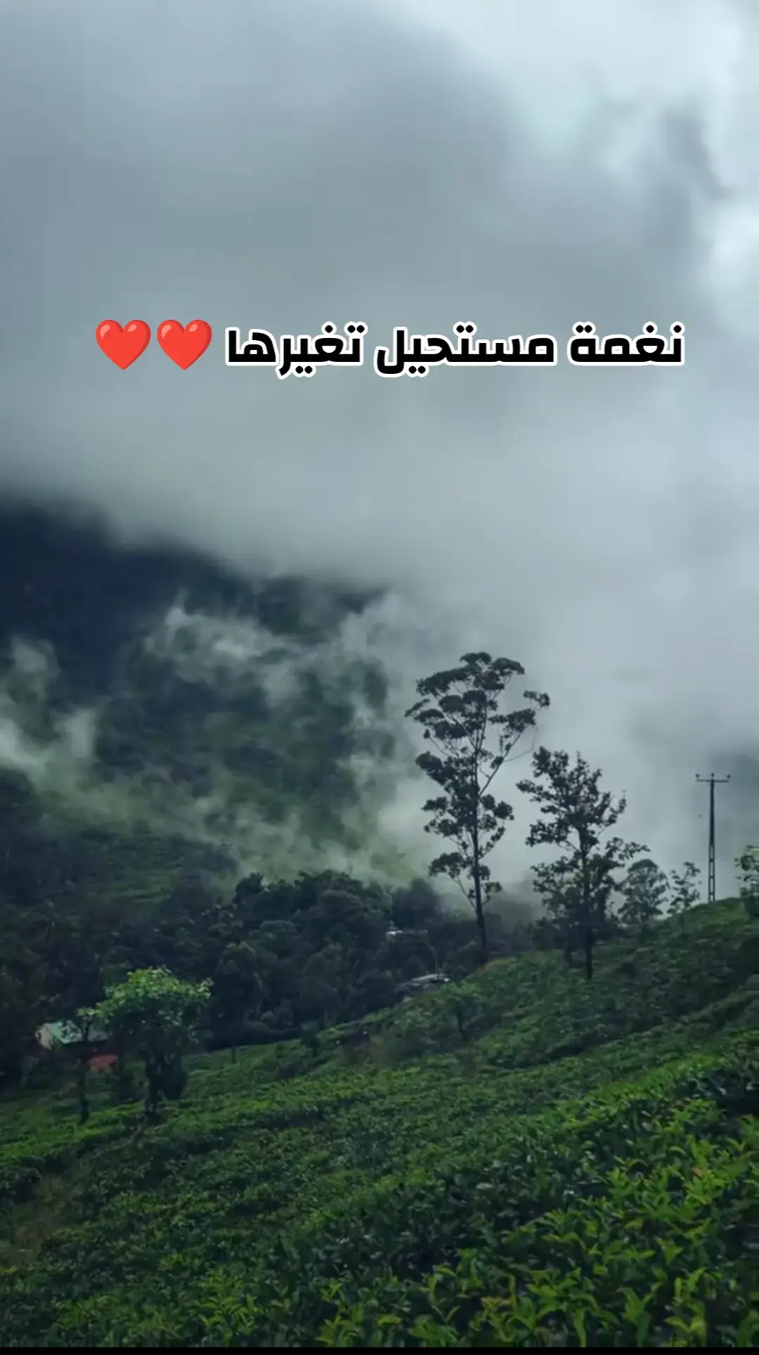 #نغمات_رنین #fypシ゚ #نغمات #نغمه_هاتف #نغمه_هاتف 