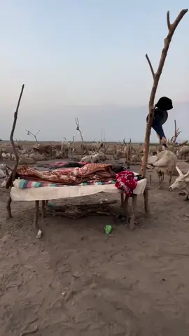 La famille mundari au Soudan du sud 🇸🇸 #sudan #soudan #africa #ethiopian_tik_tok #cultura 