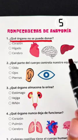 Rompecabezas de anatomia🤓 ¿Puedes responder a todas las preguntas?#quiz #quiztime #knowledge #preguntas #preguntasyrespuestas 