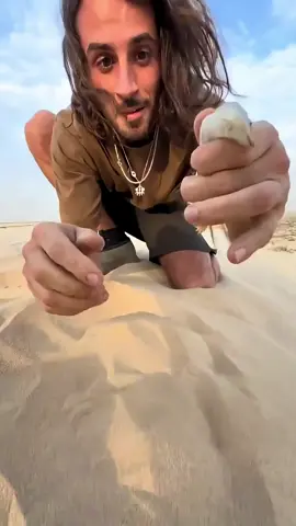 Hewan Halal Yang Disukai Orang Arab'!!!