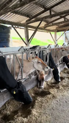 Segurança no seu dia mais trabalhista 😂