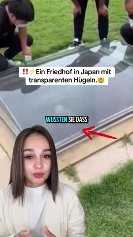 Ein Friedhof in Japan mit transparenten Hügeln.