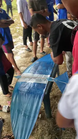 Silangkah teuk rakan 🙌#layangtunangaceh🥰🥰 #fyp #aceh #foryou #lewatberanda 