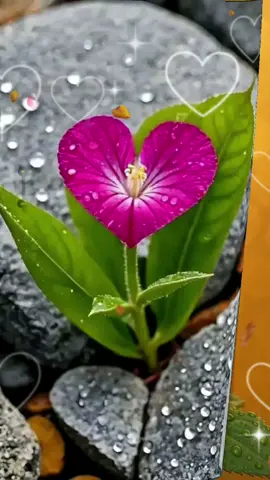 AMÉN 🙌 AMÉN  #AMEN 