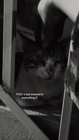 😶#foryou #foryoupage #fypシ゚viral #fyp #fyppppppppppppppppppppppp 