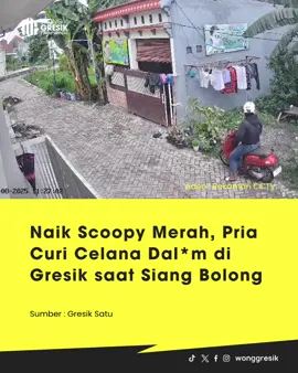 Aksi pencurian celana dal*m kembali meresahkan warga Gresik. Kejadian terbaru berlangsung di Desa Randuagung, Kecamatan Kebomas. Aksi nyeleneh tersebut terekam jelas kamera CCTV milik warga di RT 8 RW 02 Dusun Setingi. Dalam rekaman berdurasi 42 detik itu, tampak seorang pria mengenakan jaket, helm putih, dan celana jeans. Ia datang mengendarai motor Honda Scoopy warna merah. Tanpa menunggu lama, pelaku berhenti di samping rumah yang menjadi sasarannya—kebetulan di tempat itu sedang dijemur pakaian dan celana dalam perempuan. Pria tersebut langsung mengambil celana dalam yang tergantung di jemuran, kemudian menyelipkannya ke dalam jaket. Aksi pencurian dilakukan pada siang bolong, sekitar pukul 11.27 WIB, sehingga membuat warga makin resah. Selengkapnya  https://www.gresiksatu.com/naik-scoopy-merah-pria-curi-celana-dalam-di-gresik-saat-siang-bolong/ #gresik #wonggresik