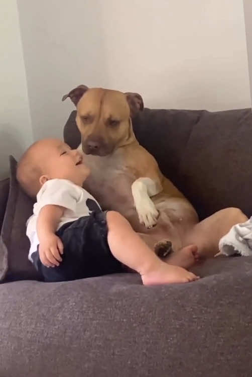 Best friends 🥰🥰🥰#baby #dog #pet #Love #friends #lovestory #cutebaby #dogsoftiktok #babiesoftiktok #foryou #usa🇺🇸 