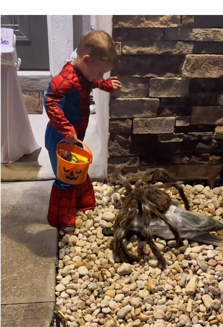 Funny trick or treat 😂😂😂#funny #kids #halloween #funnybaby #scared #funnyvideos #cutebaby #babiesoftiktok #foryou #usa🇺🇸 