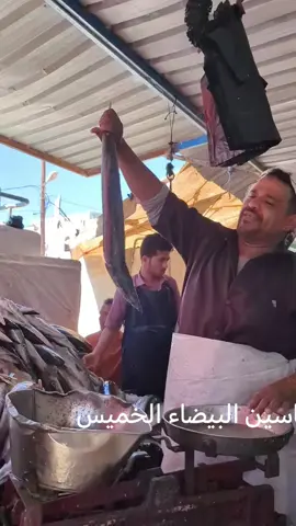 #البيضاء #الكسبلور #الشعب_الصيني_ماله_حل #البيضاء_الجبل_الاخضر 