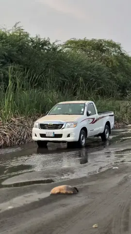 هيلوكس 2014 غماره #الليث #وغميقه #ذكر الله 