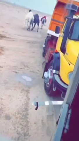 #مساء_الخير🌹 #اكسبلور_تيك_توك #الدماسي_الروقه_العتيبي_ 