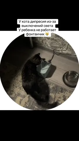@DTEK увімкніть світло дитині  #дтек #коти #свет 