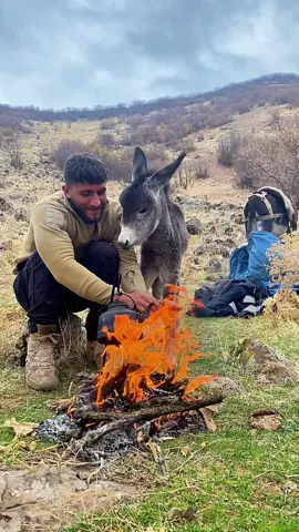 #sıpa #keşfet #keşfetteyizzz #keşfetbeniöneçıkar #tik_tok  fıstık üşümüş ❤️