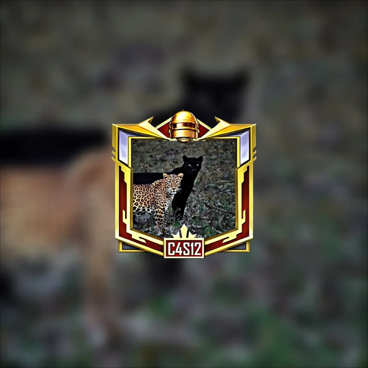 8K Wallpapers For Dp 🌟 📲  #8kwallpaper #🌟 #foryou #foryoufage #pubgmobile 
