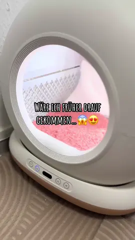 Ich hab dieses Tofu-Katzenstreu ausprobiert und meine Wohnung riecht seitdem einfach nach nichts. 🤍 Klumpt super schnell, riecht angenehm und du kannst die Klumpen sogar in der Toilette runterspülen. Meine Katzen lieben Green Tea & Peach am meisten. 🐾 Perfekt für alle, die endlich Ruhe im Katzenklo wollen. • • • • #cats #cat #catlover #catlife #LifeHack 