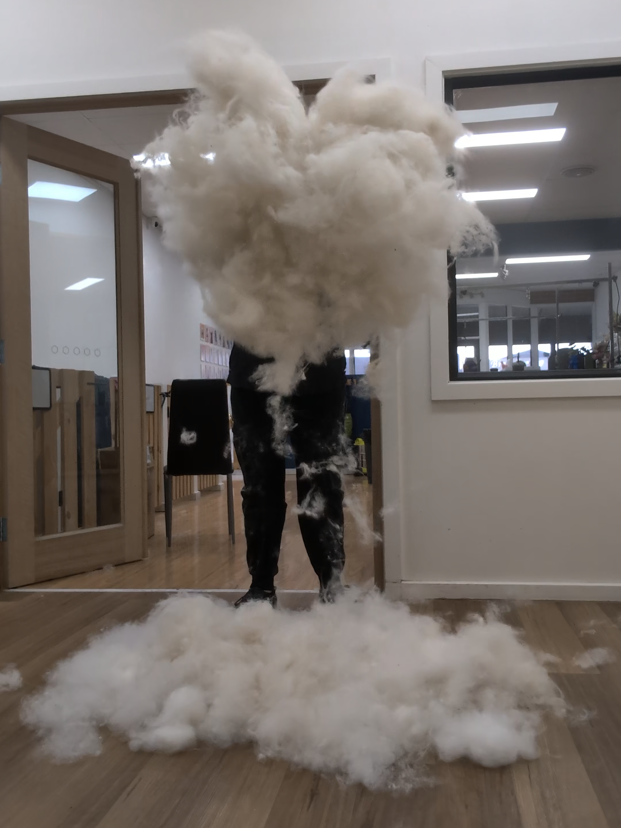 Samoyed Shedding #samoyed #doggroomer