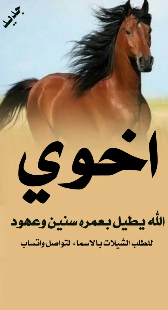 شيلة مدح اخوي جديد #اكسبلور #اكسبلور explore# السعودية 🇸🇦#الشعب _الصني _ماله _ حل😂😂#for you #you 