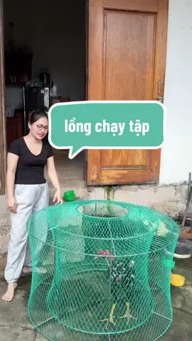 rẻ nha#longchaygachoi #longchaytaplucchoga 