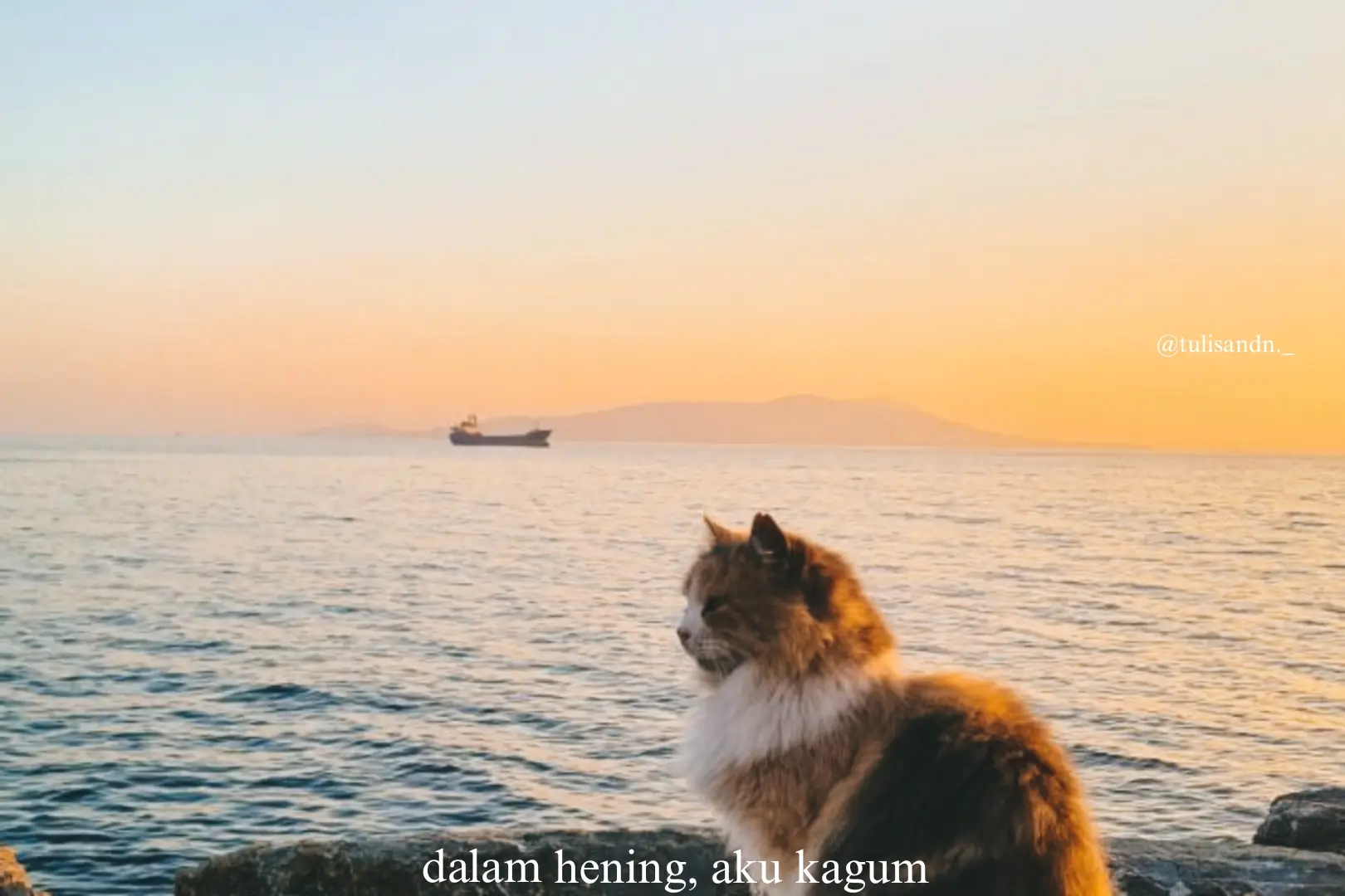 aku tak pernah menyapamu, bahkan sekadar bertukar pandang pun tidak. namun entah bagaimana, namamu selalu bergetar lembut di pikiranku. seperti langit yang tak pernah menyentuh bumi, aku hanya bisa memandangmu dari jauh  tanpa ingin memiliki, cukup memahami bahwa kau indah sebagaimana adanya. aku belajar bahwa kagum tak selalu harus disuarakan, karena beberapa rasa diciptakan untuk tetap tinggal di dalam hening  tempat di mana aku diam, tapi sungguh merasa. dan meski aku tak pernah melihatmu, tak tahu bagaimana matamu menatap dunia, ada sesuatu yang tetap membuatmu terasa dekat  mungkin bukan karena wajahmu, tapi karena caramu hadir di pikiranku tanpa pernah benar-benar datang. karena dalam diam ini, aku belajar bahwa perasaan pun bisa berdoa: bukan untuk memiliki, tapi untuk tetap baik-baik saja, di bawah langit yang sama. #qoutesoftheday #fypage #fyp #mengagumi #masukberanda 