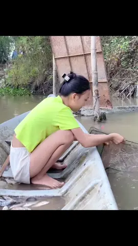 thu sương đi thăm lưới #gaimientay #gaique #xuhuong #mientayquetoi 