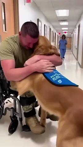 He served his country. His dog waited for him.🐶❤️#fyp #foryou #funny #Love #dog 