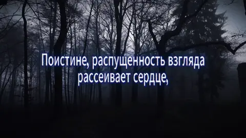 Взгляд #ислам #имам #сунниты #саляфит #ашариты 