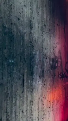 #لايكات #وصلوني10k #الاردن🇯🇴_فلسطين_🇵🇸 