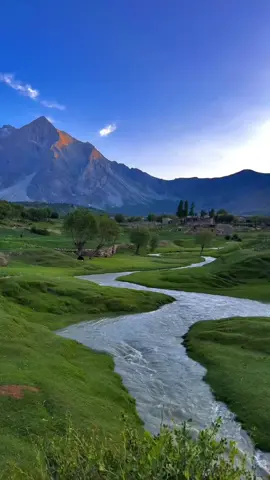 #اللهم_اجعل_القران_ربيع_قلوبنا  #قرآن_كريم_راحة_نفسية🌷🌻 