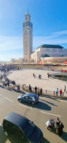 #wac #wydad #الوداد 