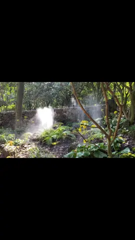 🍃🪴☘️🌱💐⛲️  #naturelove #healingvibes #quietlife #foryou 