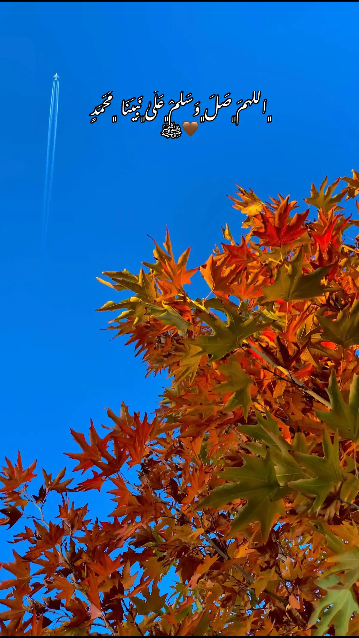 ‎ ﮼اللَهمَ﮼صَلَ﮼وَسَلَمْ﮼عَلَىٰ﮼نَبِيَنَا ﮼مُحَمَدٍ ﷺ🤎 #سلاوات_لە_سەر_گیان_پێغمبەر_د_خ🤲📿 