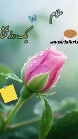 #part346💕✨✨✨💖#اسلام_علیکم_صبح_بخیر_دوستای_عزیز❤️🌹🇦🇫🌷 #هزاره_تاجک_ازبک_پشتون_ترکمن_زنده_باد_افغانستان🇦🇫❤️🥰 