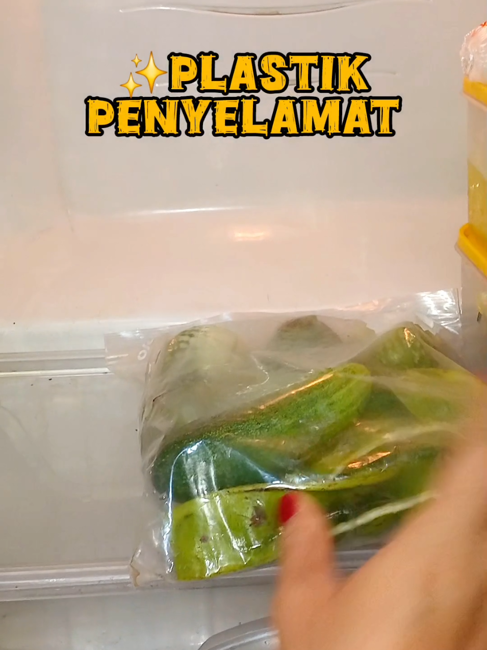 sayurannya tetep fresh dan lumayan bertahan lama.. trus bantu banget buat yg punya kulkas minimalis😉 #plastikziplock  #fyppppppppppppppppppppppp 