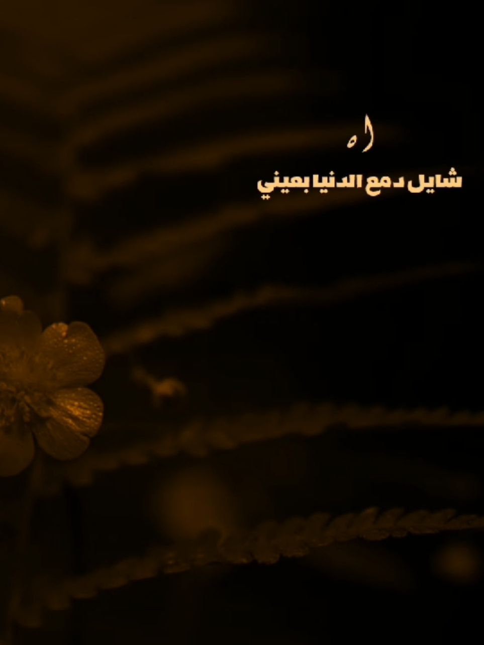 جراحات والم💔🎧 . . . . . . . . . . . . . #مسلم_الوائلي  #تصميم_فيديوهات🎶🎤🎬 