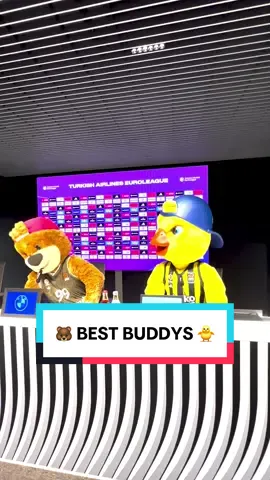 🐻x🐥 Wenn Ben und Yellow aufeinandertreffen… 😁 Nur Blödsinn im Kopf! Willkommen in unserem Zuhause, @Fenerbahçe Beko 🙌 #mascot #euroleague #funnytiktok @Yellow The Canary 