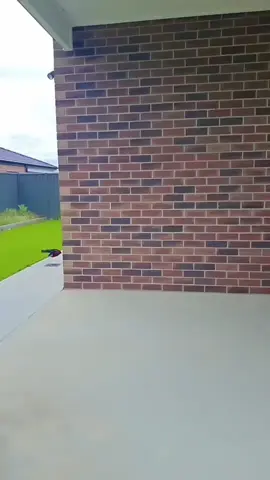 chendhamara poovin kannallae 🪷 👁 #foryou #dance #trending 