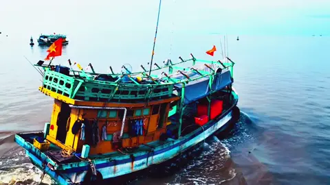 #ghebien #danbien #xuhuong #fyp #viral 