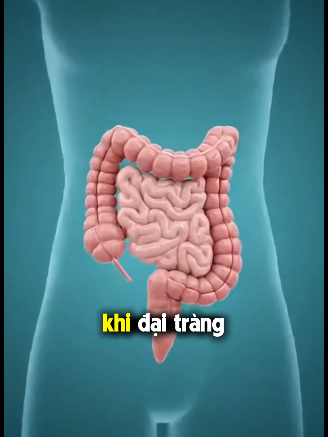 men vi sinh livespocoplon