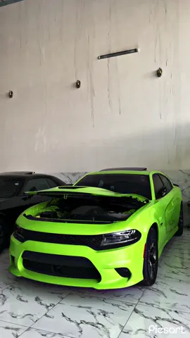 #fyp #explore #viral #cars #dog 