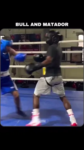 The footwork!#boxing🥊 #boxer #fyp #viral #sparring 