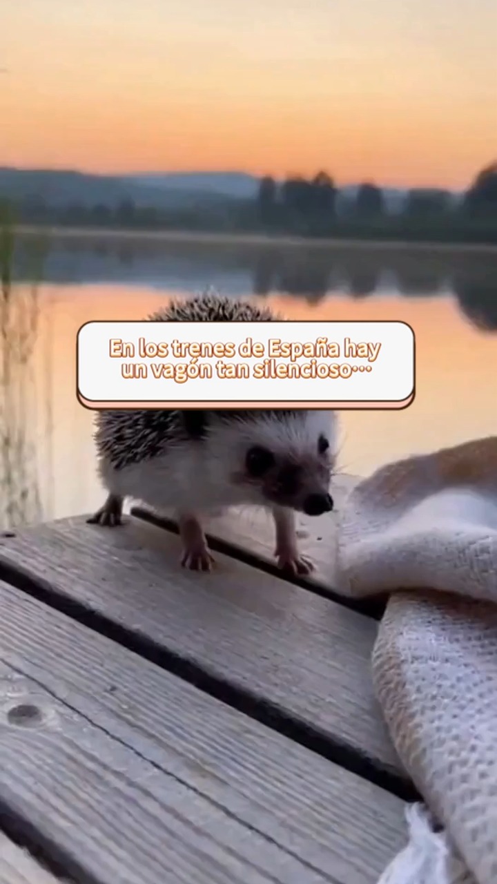 ¡Ahorra para lo que de verdad importa! (Como unas buenas tapas). Usa TREN32 y descuenta 5€. 🍻 #tren #travels #madridl #traveltips #apps #Railcard #españa #spain❤️ #tapas #importa