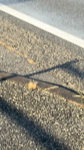 きれいな色だね #rainbow #japan #8latters #aesthetic #fyp 