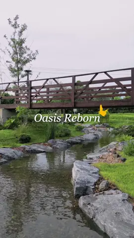 จากผืนดินว่างเปล่า สู่สายน้ำที่มีชีวิต 🪨+🌊+🌿 = ❤️  #น้ำตก #ลำธาร #รับทำน้ำตก #รับทำลำธาร #ธรรมชาติบําบัด